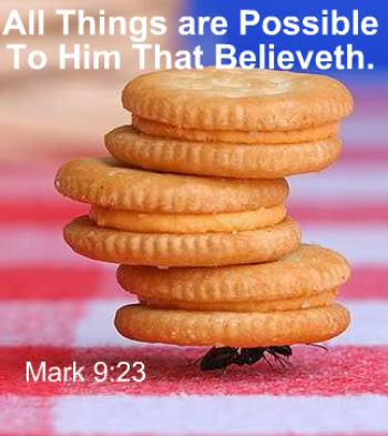 Mark 9:23