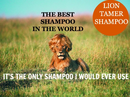 funny shampoo commercial, best shampoo, lion tamer 