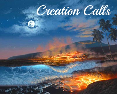 Island being formed, creation vs evolution, in the beginning