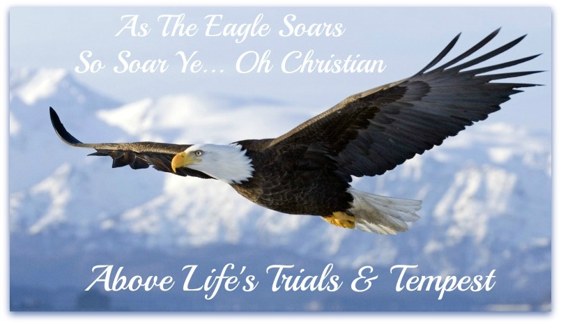 eagle quote, rise above life's troubles, soar