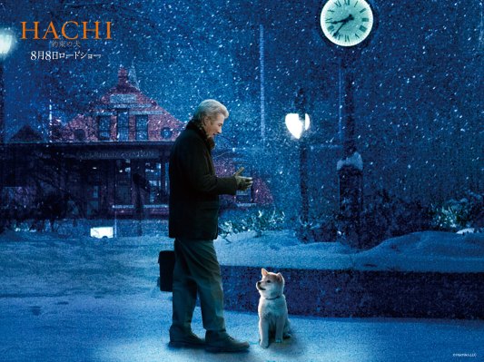 hachiko puppy, richard gere, movie, loyal dog