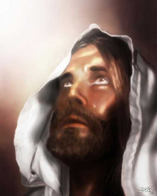 Jesus Wept, jesus looking up, garden of gethsemane