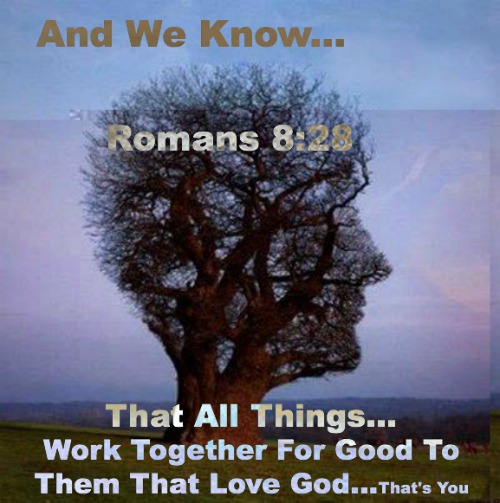 Romans 8:28, All thing work together for our good