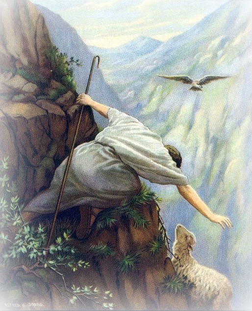 Jesus Shepherd
