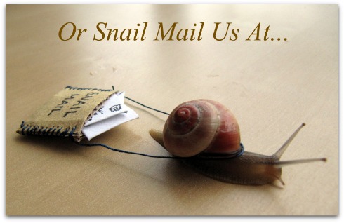 snail mail, letter, write us