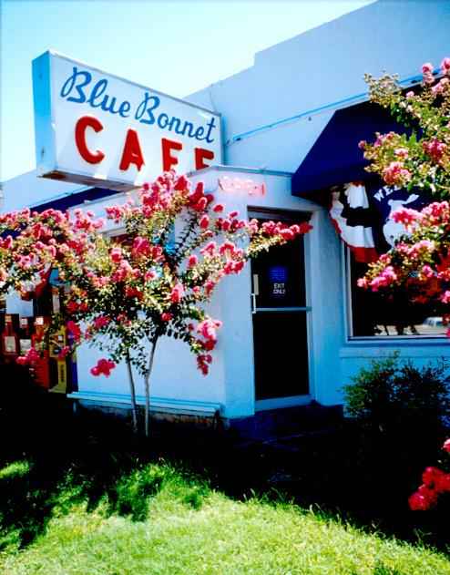 blue bonnet cafe, marble falls texas, john 3 16