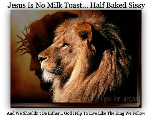 Jesus is not Milk Toast