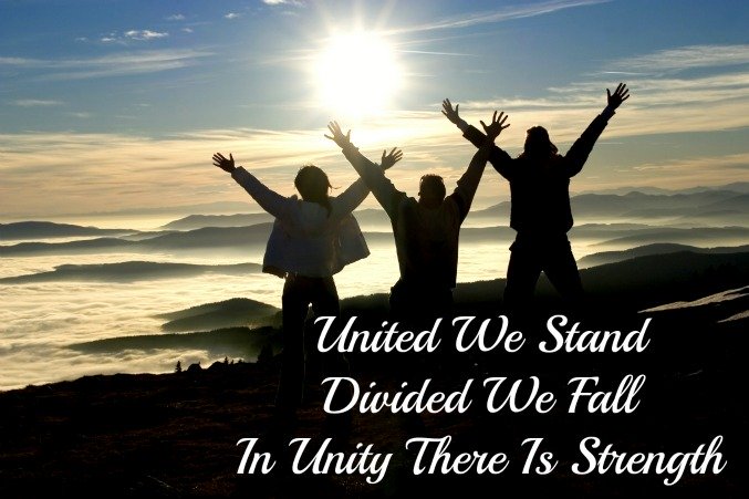 united we stand divided we fall, in unity there is strength