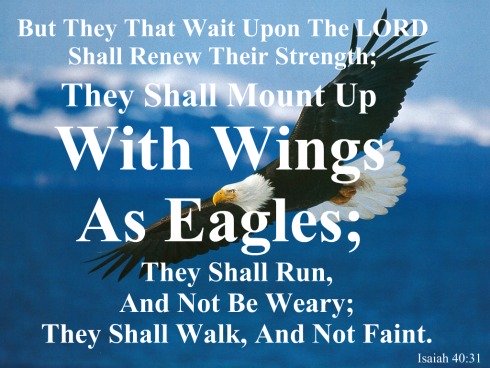 isaiah 40 31, isaiah quote, mount up with wings, fly like an eagle