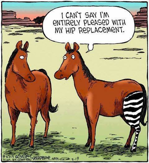 Funny Hip Replacement, funny christian Picture