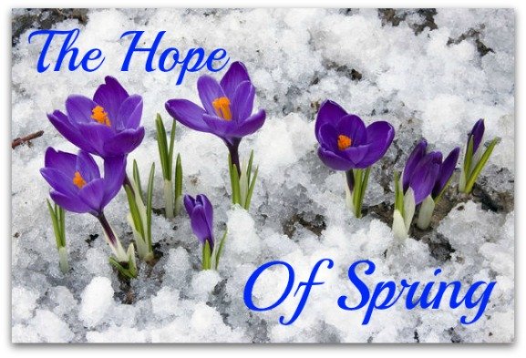hope of spring quote, new start new beginning