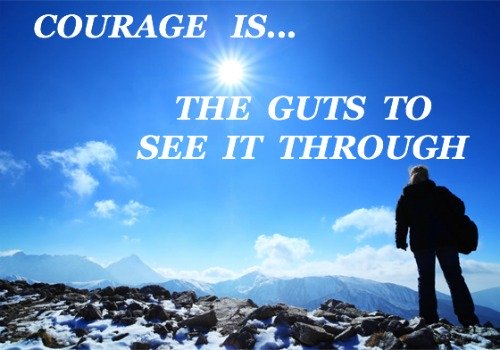 courage quote, the guts to see it through