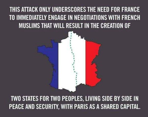 Paris Attack 2015, Sarcastic Picture