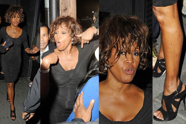 Whitney Houston, last days, suicide