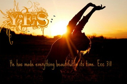 Ecc 3:11, bible quote, he has made everything beautiful in it's time