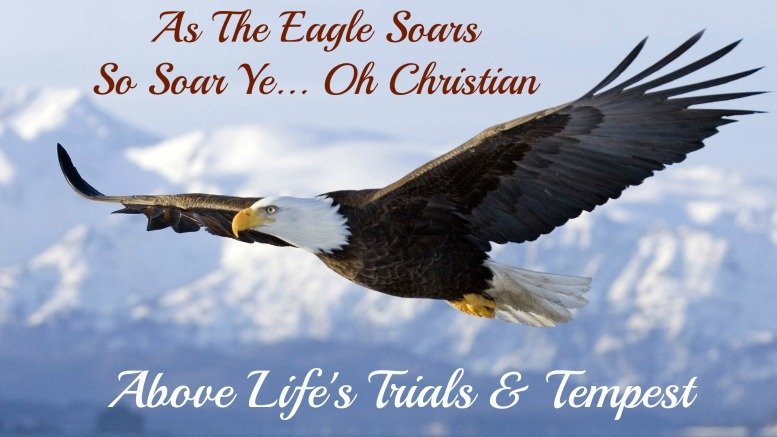 rise above, on eagles wings