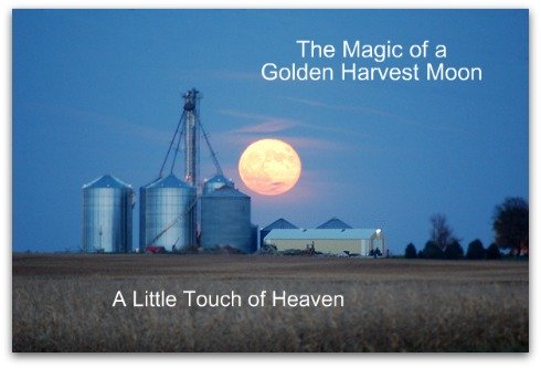 A little touch of Heaven, Harvest Moon,  Life after Death