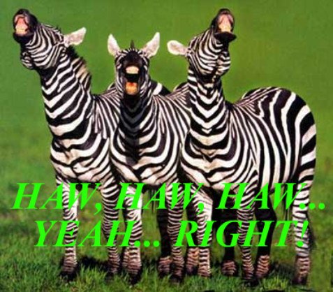 laughing, animals, zebras, funny quote